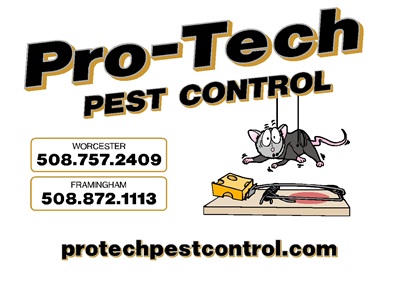 CLASSIFICATION PRESENTATION OCTOBER 26 2015 –  Pro-tech Pest Control by John White